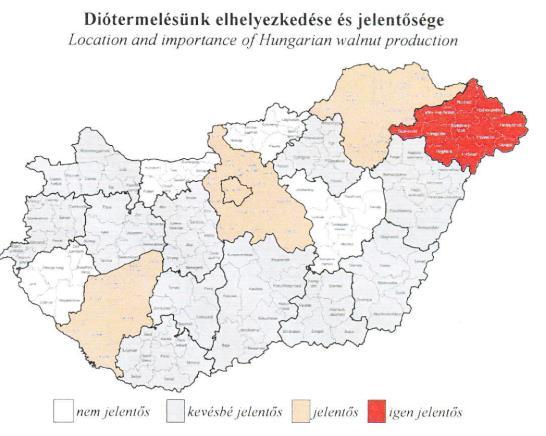 Dió jelentősége - Világ Világ 3.500 995 3,5 EU 170 70 2,4 FAOSTAT 4.320 4.340 1,0 FRUITVEB 10.200 6.380 1,6 Világ: Kína (46%), USA (15%), Irán (13%), Töröko.