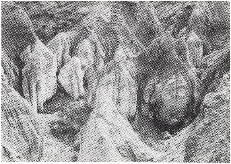 : tetarátával elgátolt barlangi tó grape, ang.: szőlőfürtszerű borsókőképződmény, botrioid grike, ang.: hasadékkarr grotta, ol.: barlang grotte, fr.: barlang grotto, ang.: 1. kis barlangüreg, 2.