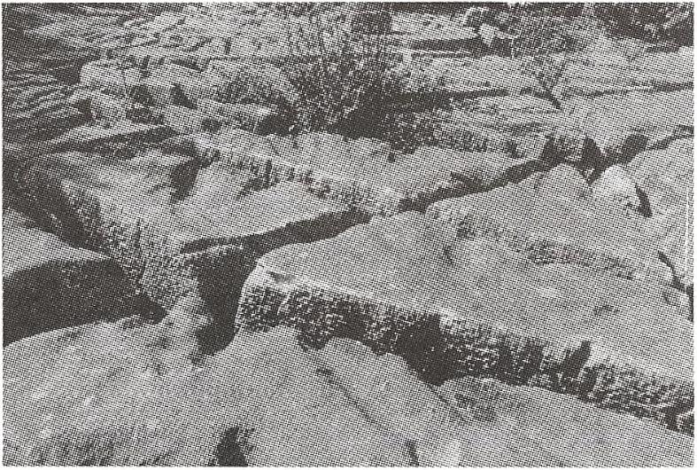 : karsztfornás karst window, ang.: karsztablak, 1. kis darabon felszakadt barlang, 2. átlátható barlangroncs, barlangkapu Karstfenster, Id. karst window Karstgasse, ném.