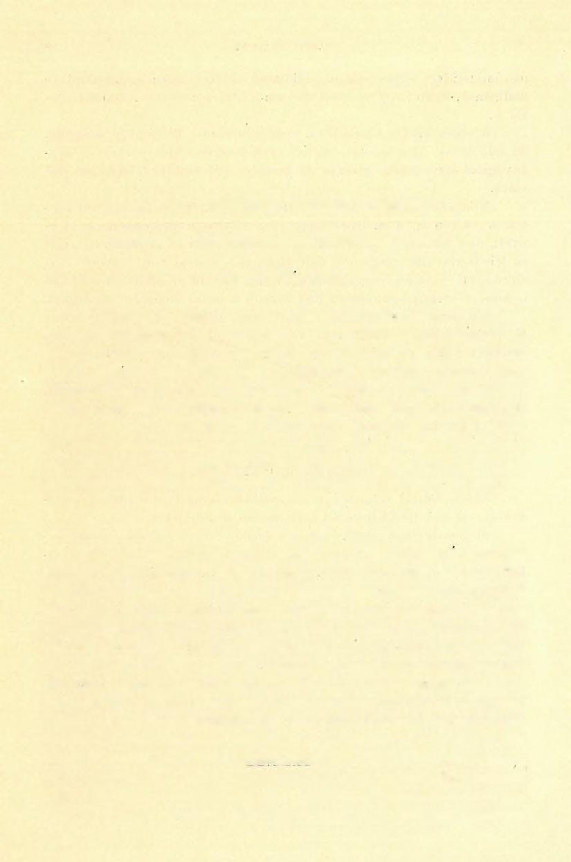 4, Zám vidékének földtani viszonyai, (Jelentés az 1902. évi részletes geológiai fölvételről.) Dr. Papp Karolától.