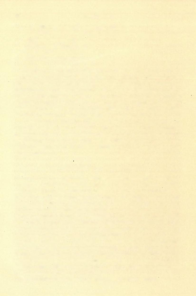 (10) FÖLVÉTELI JELENTÉS. 69 Cancellophycus sp., aff. scoparius, Thioll Eugeniacrinus sp. ind. nyéltagdarabkák Balanocrinus sp. ind. «Pentacrinus sp. ind. «Rhynchonella sp. töredék, és egy Astarte sp.