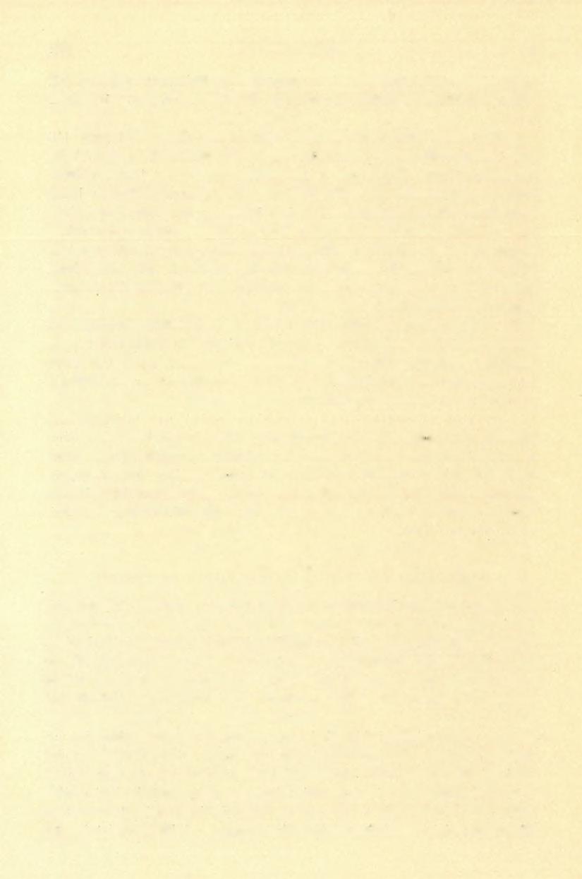 (14) FÖLVÉTELI JELENTÉS. 73 délen pedig az andezit-breesiák leple födi el szemünk elől.