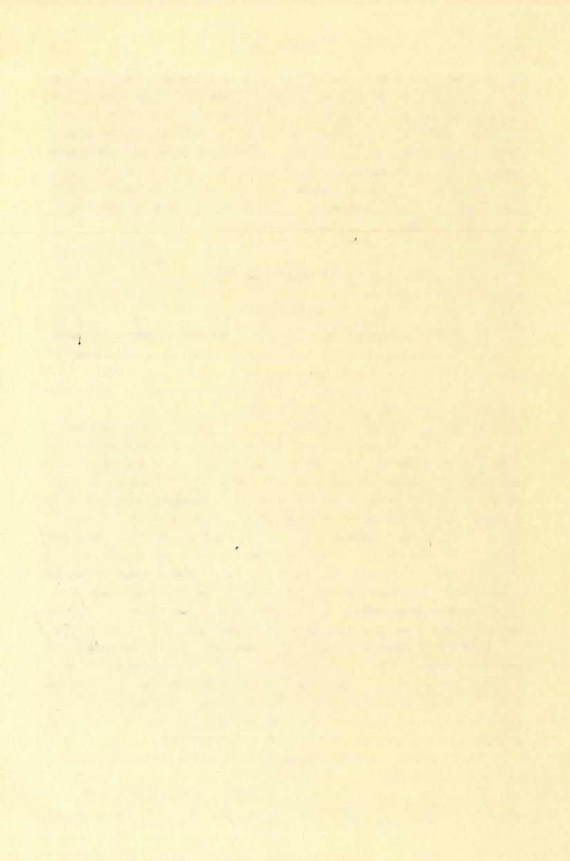 (18) FÖLVÉTELI JELENTÉS. 77 andezit-tuskók hevernek, a melyek plagioklászt, augitot, amfibolt, magnotitet tartalmaznak, porfiros szövettel, tehát típusos andezitek.