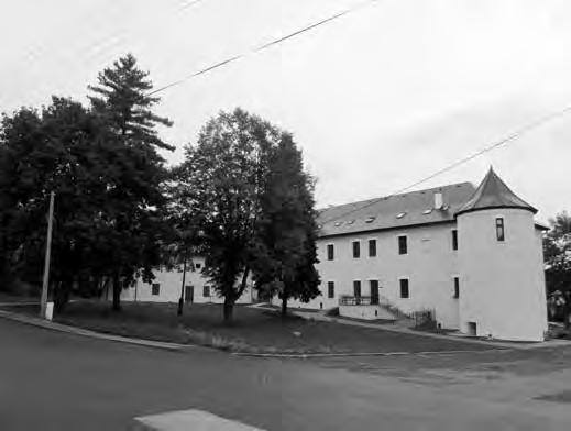 Pri sadovníckej úprave okolia chrámu sa vyžaduje vhodné prepojenie novovzniknutých výsadieb s historickou porastovou štruktúrou parku.