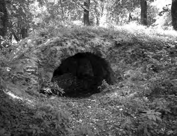 Grotta interpretácie v historických parkoch a záhradách na území Slovenska KATARÍNA KRISTIÁNOVÁ G rotta1 sa ako špecifický prvok záhradnej architektúry ako malá umelá, zriedka i prírodná jaskyňa,