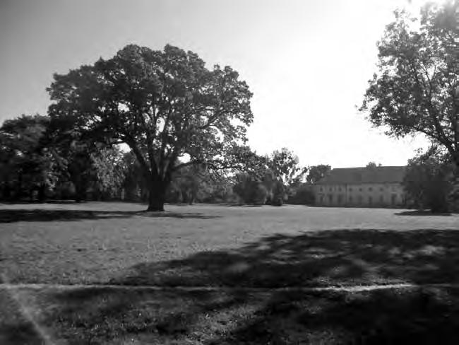 Základné atribúty architektonicko- -historického výskumu objektov zelene Príklad parku pri kaštieli v Tomášikove NATÁLIA FOLTINOVIČOVÁ Veda a výskum Parky, záhrady a iné objekty historickej zelene