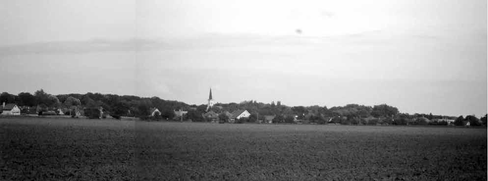 Panoramatický pohľad na park v Tomášikove, ktorý predstavuje výrazný krajinotvorný prvok v intraviláne a extraviláne obce Tomášikovo, ale aj v širšom okolí.