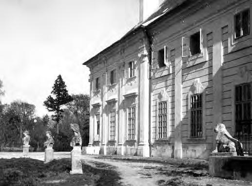 Priehľad cez lúku na dominantné jedince duba letného (Quercus robur), s kompaktnými porastovými okrajmi. Foto: N. Foltinovičová, 2013.
