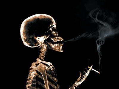 Bár a cigarettában a nikotin zöme elég, jelentős mennyiség azért átjut a szervezetbe (száraz részegség). (a dohány rágás során lényegesen több!