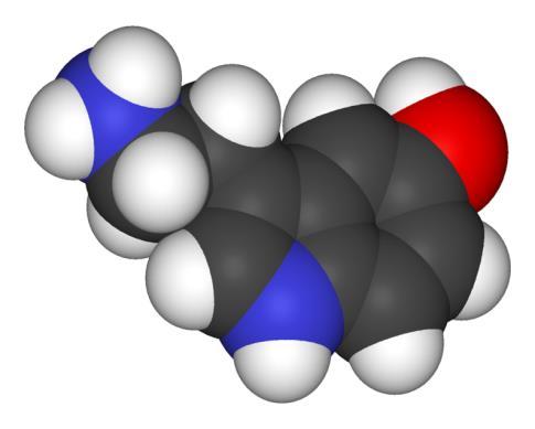 6) Indolinvázas alkaloidák: állatokban fontosabb indolvázas vegyületek: A szerotonin bioszintézisében résztvevő enzimek; TPH:= Triptofánhidroláz DDC:= 5-OH-Triptofándekarboxiláz növényekben a