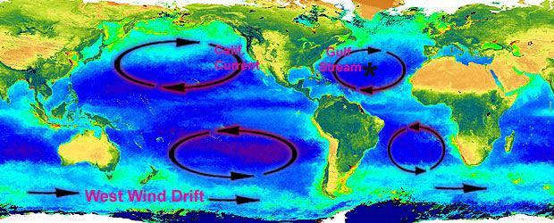 keletiek Net esult: anticyclonic ocean gyes in