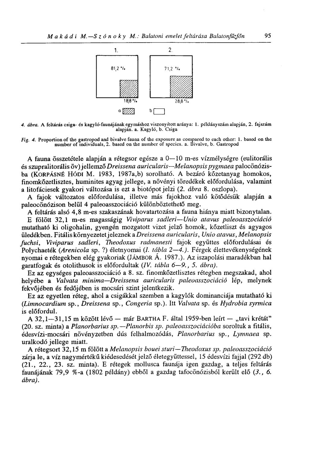 M а k ád i M. 5 z ó n оку M.: Balatoni emelet feltúrása Balatonfűzfön 95 81,2 Ш Ш 4. ábra. A feltárás csiga-és kagyló-faunájának egymáshoz viszonyított aránya: 1. példányszám alapján, 2.