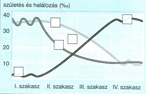 Melyik kontinensnek lesz szüksége leginkább az aktív korcsoportba tartozó munkaerő befogadására a közeljövőben? 10. Figyelje meg az ábrát, és válaszoljon a következő kérdésekre!