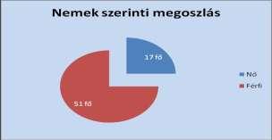 Nemek szerinti megoszlás: Nő: 17 fő