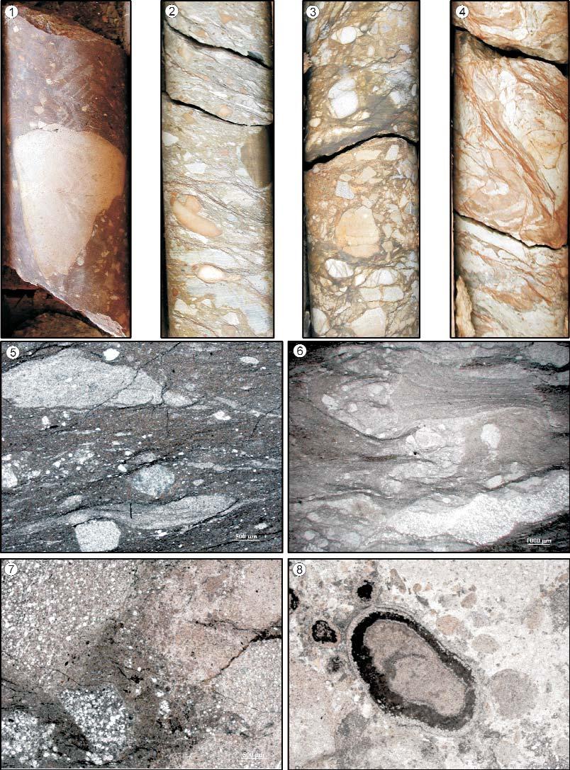 Földtani Közlöny 141/2 (2011) 181 15. ábra. Az Rm 118 fúrás jellemző kőzetfajtái, mikrofáciesei Figure 15. Typical rocks and microfacies in core Rm 118 1.
