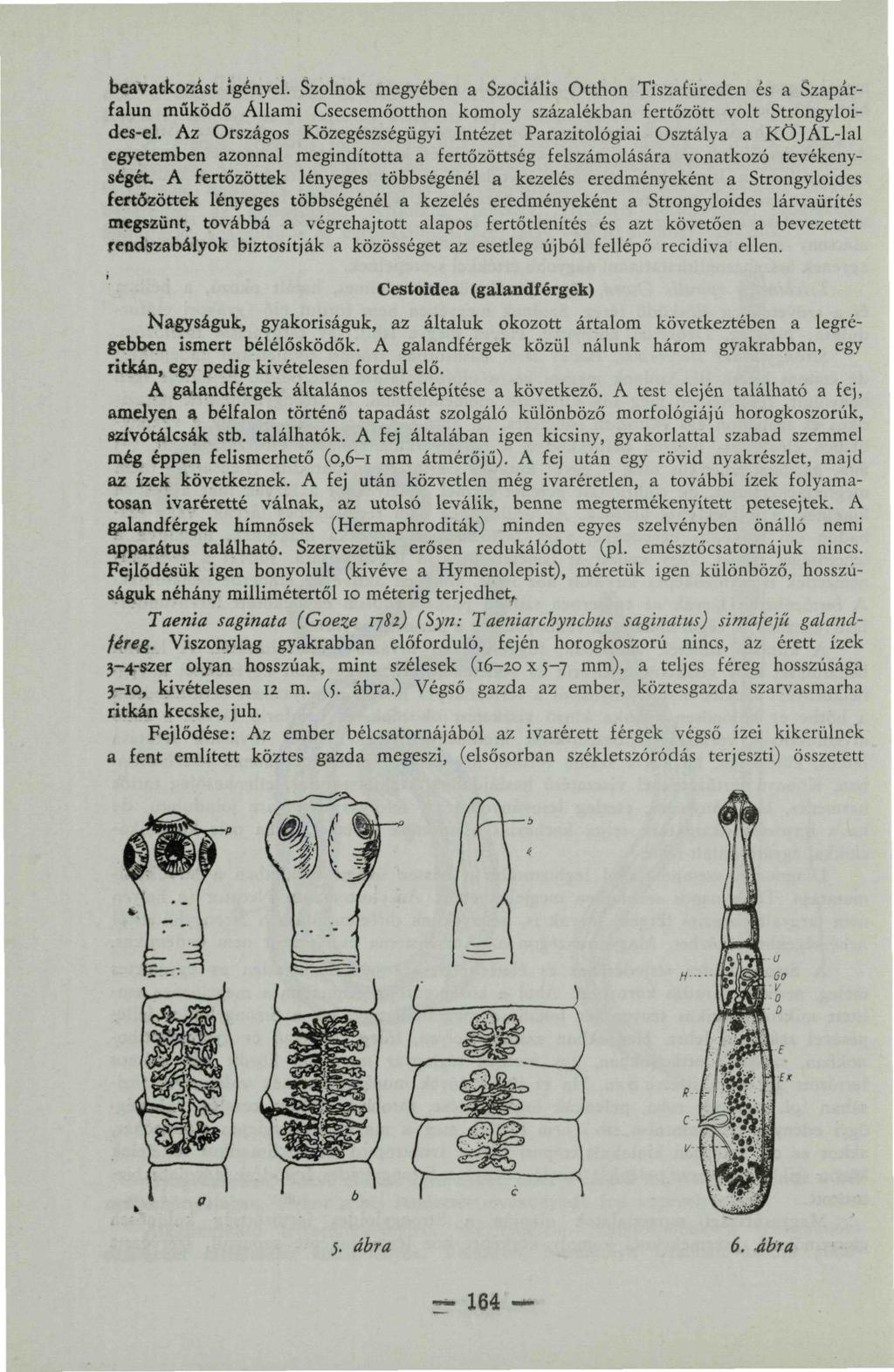 beavatkozást igényel. Szolnok megyében a Szociális Otthon Tiszafüreden és a Szapárfalun működő Állami Csecsemőotthon komoly százalékban fertőzött volt Strongyloides-el.