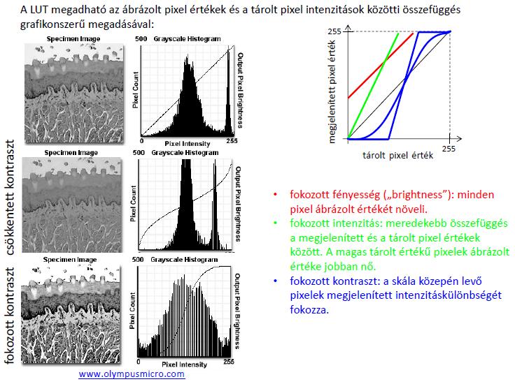 Hisztogram, LUT A pixelekben tárolt intenzitás eloszlás látható A LUT minden pixel