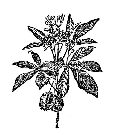 115