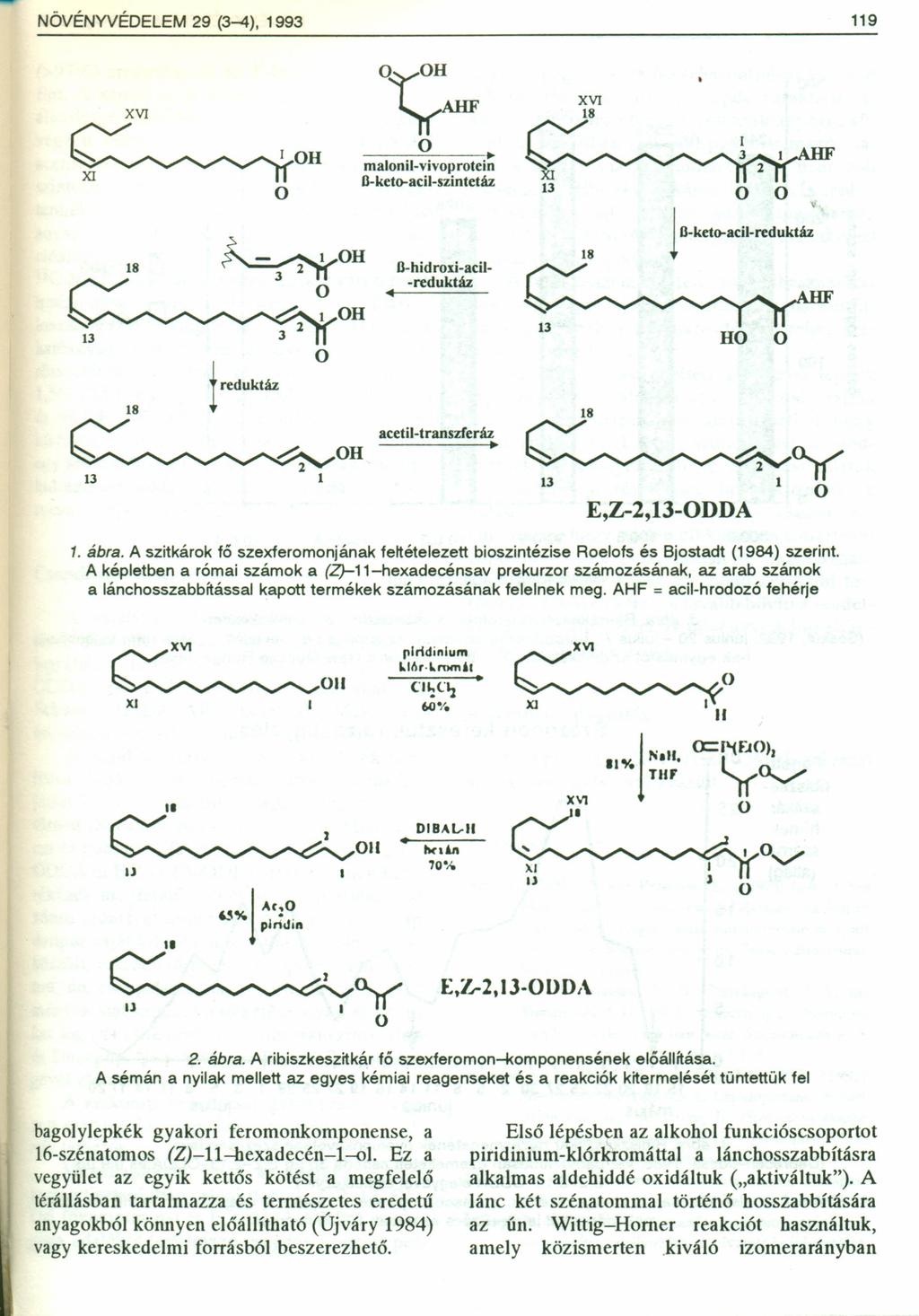 NÖVÉNYVÉDELEM 29 (3-4), 1993 119 ~H XVI ~ ----:---:c:-=_----,i. malonil-vivoprotcin B-keto-acll-szlntetáz XVI XI 13 ~ -. 1 H "~2Y...,.'...~.. ~~...~...,h 1 H 3 1 8-hidroxi-acil- -reduktáz -ketl>-aci,-redukt~ H rreduktáz 13 H acetil-transzferáz ~ 13 E,Z-2,13-0DDA y 1.