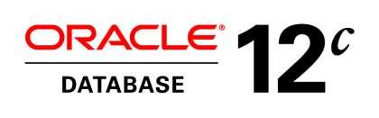 Database Security Additions/Improvements in 12c Performance and Management 2x-25x Performance: Label Security, Database Vault, Audit, Encryption Hardware Cryptographic Acceleration EM Security