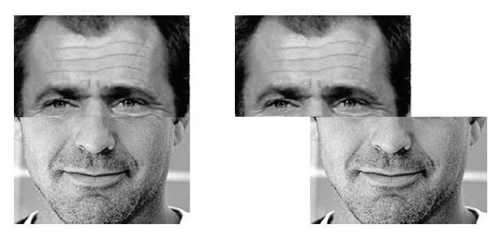 Yin (1969) felfordított arcok felismerése nehezebb Egészleges/holisztikus feldolgozást
