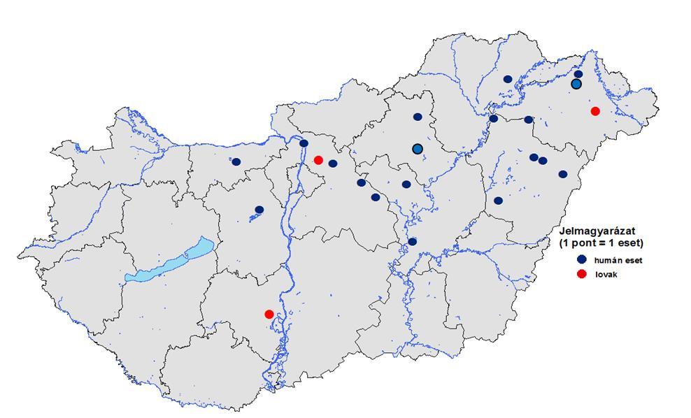 Hazai eredetű nyugat-nílusi láz megbetegedések az expozíció helye (ill. ismeretének hiányában a lakóhely) szerint, 2017. (N= 19 ember + 3 ló) (2017. október 12.) A 40.