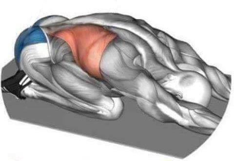 3. A NYÚJTÁS STRETCHING 3.