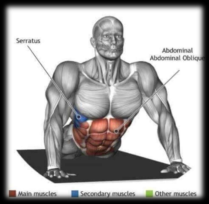 3.2 Előnyei: 5. Kép: Juraj Krajcik Gym Guider Kis erejű, hosszantartó nyújtást tesz lehetővé. Az izomban megtartja nyújtási hosszát. A kötőszöveti állomány az izomzattal együtt nyújtható.