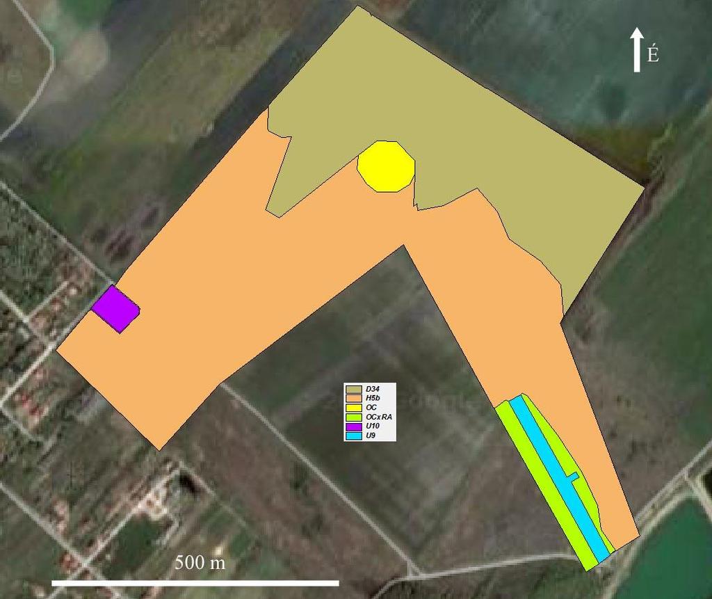 4. térkép: A Dunavarsányi árvalányhajas gyep Természetvédelmi Terület élőhelytérképe Jellegtelen száraz- félszáraz gyepek (ÁNÉR 2011-kategória: OC) A terület közepén levő épületet kerítés veszi