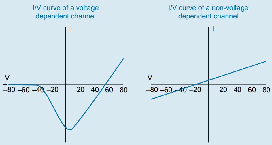 Intracelluláris regisztrálás, voltage clamp Extracelluláris ingerlés