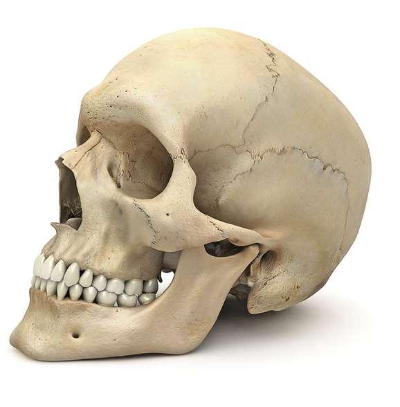 A csontritkulás két formája a posztmenopauzális (ösztrogén hiánnyal