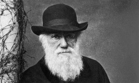 Darwin Természetes rendszerezés Rokonság alapján rendszerez A FAJ az alapja Faj: közös származású, külső és belső