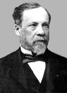 Virológia történet Louis Pasteur (1822-1895): kísérleti állatok alkalmazása a veszettség vírusának tanulmányozására bár a kórokozót magát