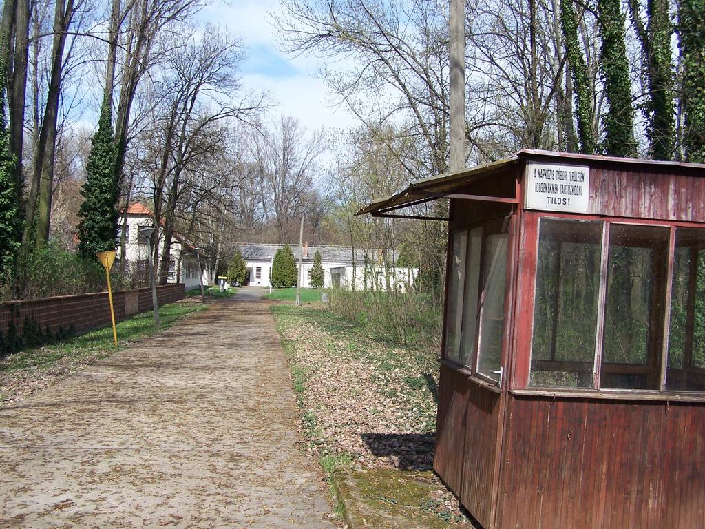 12 3. Kultúrterem, konyha, szolgálati lakás Az 1968-ban épült, földszintes, magas tetıs épület hasznos alapterülete kb. 390 m 2.