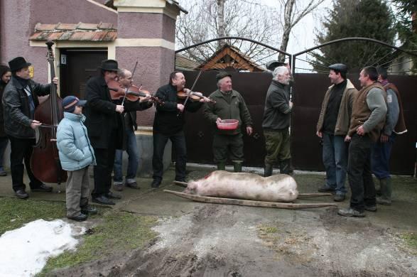 Farsang 2011 Február 5-én ismét megtartjuk Farsangi Disznóvágó ünnepünket Kiscsőszön. A rendezvény kora reggel kezdődik Eugénia, a százharmincas hízó jobblétre szenderítésével.