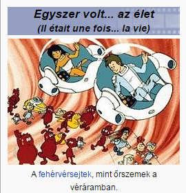 Játszva Also as tanulás: expected, sok identification felnőtt with a mai characters napig in the narrative reduced counterarguing and increased perceived vulnerability * felidézi, hogy a