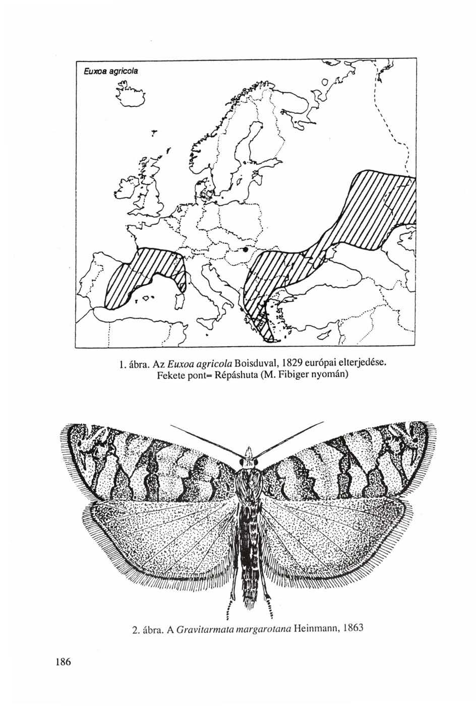 1. ábra. Az Euxoa agricola Boisduval, 1829 európai elterjedése.
