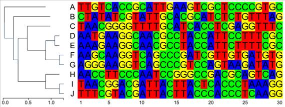 Evolúció DNS szekvenciák szintjén Gén szekvenciák neutrális változatossága. Nem kódoló genom régiók, így például a pszeudogének változatossága nagyobb, ahogy a neutrális elmélet alapján várjuk.