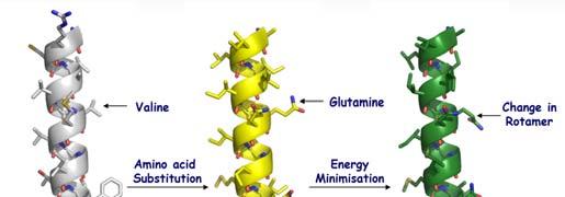 Acid SUbstitution Matrix) matrix is a