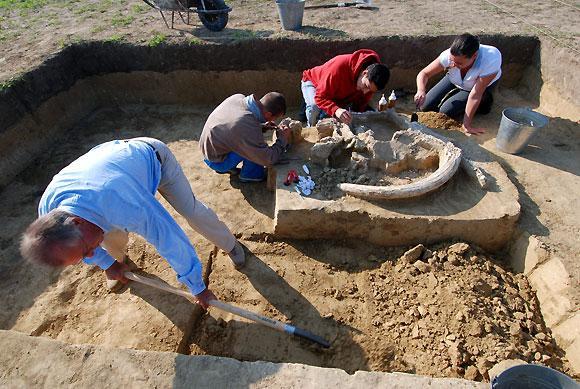 Túrázó feladata régészeti lelet Zárt területen: leletet nem emelünk ki illetékesek értesítése Nyílt