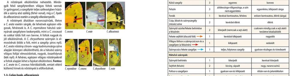 európai fauna összességével vagy külön-külön az egyes országokéval foglalkozik.