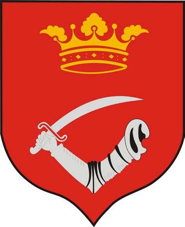 Helyi Esélyegyenlőségi Program Önkormányzat Söpte.