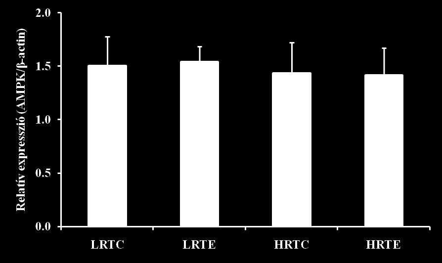 Az (A) és (B) panelekben: LRTC edzésnek ellenálló, kontroll, (n=6); LRTE edzésnek ellenálló, edző, (n=7); HRTC edzésre reagáló, kontroll, (n=6), HRTE edzésre reagáló, edző, (n=8).