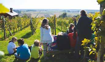 Po»poroki«so se odpravili v Filovski gaj, kjer so spoznali vse o vinih, vinski kulturi, trti, ki je ena izmed najstarejših kulturnih rastlin, vinskih sortah, pravilih pokušnja vin (le barva in vonj)