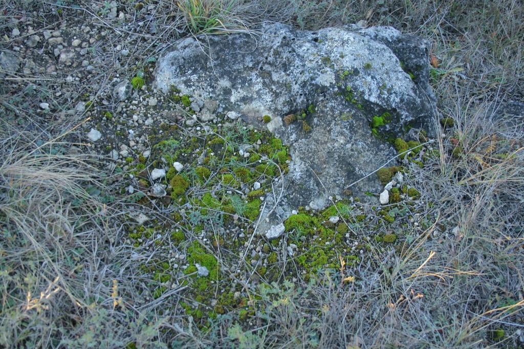 Natura 2000 védelme alatt álló területek Kiemelt fontosságú cél a következő fajok/élőhely típusok kedvező