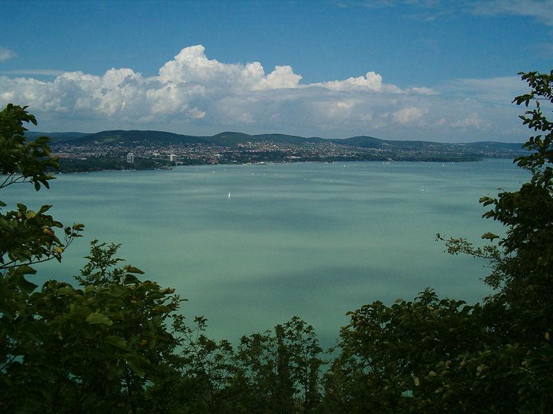 Magyarországon közepes vízállás esetén 2200 km 2 tekinthető vízzel borított élőhelynek.