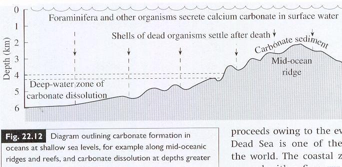 CCD (Calcite Compensation Depth): ez alatt az üledékek kevés karbonátot tartalmaznak, míg efölött megőrződnek (ez 3-5 km-nél van).