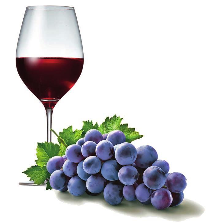 minőségi vörösbor készítéséhez Fokozza a gyümölcsös és fűszeres karaktert, a fajtajelleget kiemeli Elősegíti az almasavbontást Minőségi, nagy potenciálú bor készítéséhez (Cabernet
