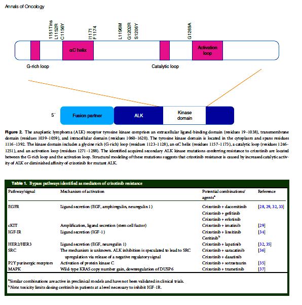 ALK inhibitor rezisztencia: