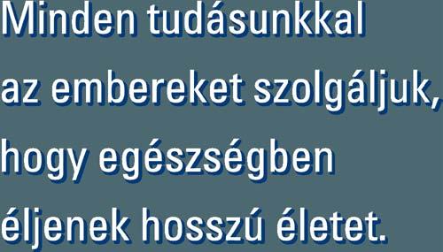 használatának formai